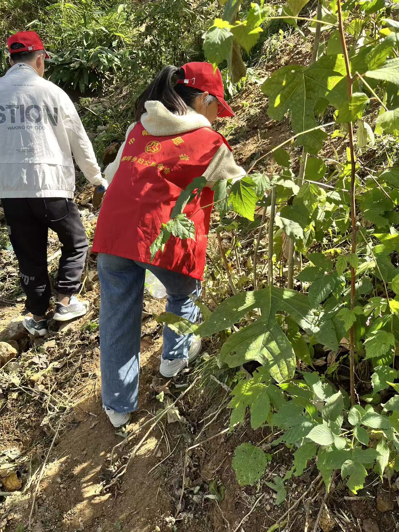 柳萍乡.jpg 柳萍乡.jpg